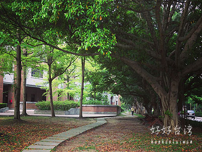 自然豊かな国立台湾大学内を散歩